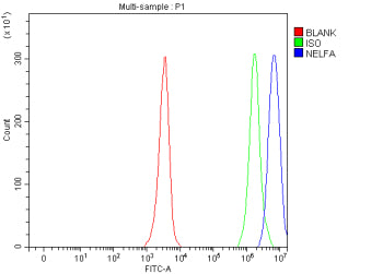 Flow Cytometry analysis of human JK cells using anti-NELFA antibody. Overlay histogram showing JK cells stained with (Blue line). To facilitate intracellular staining, cells were fixed with 4% paraformaldehyde and permeabilized with permeabilization buffer. The cells were blocked with 10% normal goat serum. And then incubated with rabbit anti-NELFA antibody (1 ug/million cells) for 30 min at 20oC.
