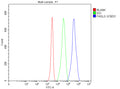 Flow Cytometry analysis of Jurkat cells using anti-FASLG antibody. Overlay histogram showing Jurkat cells stained with (Blue line). The cells were fixed with 4% paraformaldehyde and blocked with 10% normal goat serum. And then incubated with rabbit anti-FASLG antibody (1 ug/million cells) for 30 min at 20oC. DyLight 488 conjugated goat anti-rabbit IgG (5-10 ug/million cells) was used as secondary antibody for 30 min at 20oC.