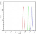 Flow cytometry testing of fixed and permeabilized human U-251 cells with MAGEC3 antibody at 1ug/million cells (blocked with goat sera); Red=cells alone, Green=isotype control, Blue= MAGEC3 antibody.