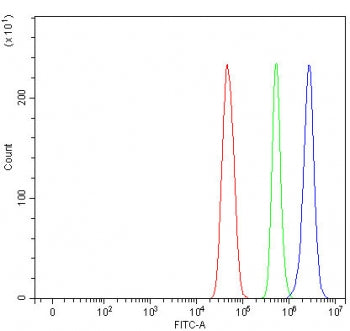 Flow cytometry testing of fixed and permeabilized human U-251 cells with MAGEC3 antibody at 1ug/million cells (blocked with goat sera); Red=cells alone, Green=isotype control, Blue= MAGEC3 antibody.