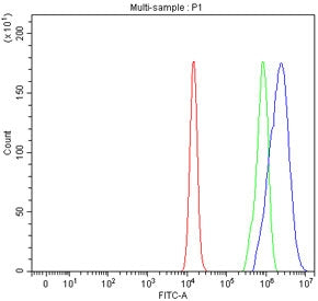 Flow cytometry testing of fixed human U-2 OS cells with Protocadherin alpha 12 antibody at 1ug/million cells (blocked with goat sera); Red=cells alone, Green=isotype control, Blue= Protocadherin alpha 12 antibody.
