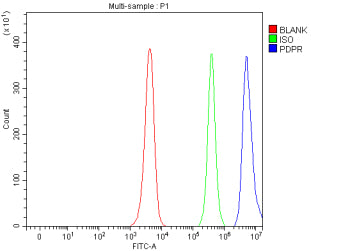 Flow Cytometry analysis of human JK cells using anti-PDPR antibody. Overlay histogram showing JK cells stained with (Blue line). To facilitate intracellular staining, cells were fixed with 4% paraformaldehyde and permeabilized with permeabilization buffer. The cells were blocked with 10% normal goat serum. And then incubated with rabbit anti-PDPR antibody (1 ug/million cells) for 30 min at 20oC.