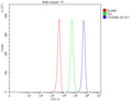 Flow Cytometry analysis of human 293T cells using anti-OTUD6B antibody. Overlay histogram showing 293T cells stained with (Blue line). To facilitate intracellular staining, cells were fixed with 4% paraformaldehyde and permeabilized with permeabilization buffer. The cells were blocked with 10% normal goat serum. And then incubated with rabbit anti-OTUD6B antibody (1 ug/million cells) for 30 min at 20oC.
