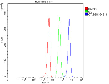 Flow Cytometry analysis of human 293T cells using anti-OTUD6B antibody. Overlay histogram showing 293T cells stained with (Blue line). To facilitate intracellular staining, cells were fixed with 4% paraformaldehyde and permeabilized with permeabilization buffer. The cells were blocked with 10% normal goat serum. And then incubated with rabbit anti-OTUD6B antibody (1 ug/million cells) for 30 min at 20oC.