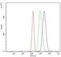 Flow cytometry testing of human JK cells with PD-L1 antibody at 1ug/million cells (blocked with goat sera); Red=cells alone, Green=isotype control, Blue= PD-L1 antibody.