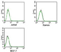 FACS testing of Rabbit IgG isotype control antibody FITC conjugate on human samples. Black=cells alone, green= isotype control antibody