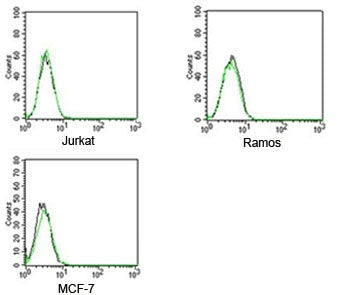 FACS testing of Rabbit IgG isotype control antibody FITC conjugate on human samples. Black=cells alone, green= isotype control antibody