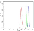 Flow cytometry testing of human HEL cells with Parathyroid Hormone Receptor 1 antibody at 1ug/million cells (blocked with goat sera); Red=cells alone, Green=isotype control, Blue= Parathyroid Hormone Receptor 1 antibody.