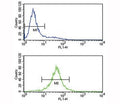 IL-10 antibody flow cytometry analysis of Jurkat cells (bottom histogram) compared to a negative control (top histogram). FITC-conjugated goat-anti-rabbit secondary Ab was used for the analysis.