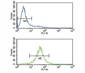 IL-10 antibody flow cytometry analysis of Jurkat cells (bottom histogram) compared to a negative control (top histogram). FITC-conjugated goat-anti-rabbit secondary Ab was used for the analysis.