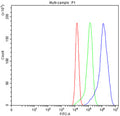 Flow cytometry testing of fixed human A549 cells with CD47 antibody at 1ug/million cells (blocked with goat sera); Red=cells alone, Green=isotype control, Blue= CD47 antibody.