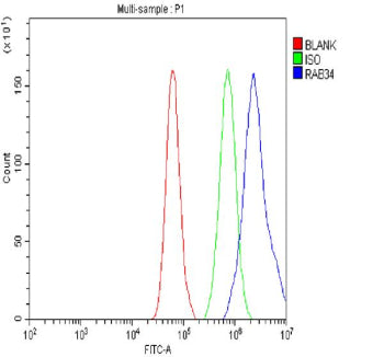 Flow Cytometry analysis of cells using anti-RAB34 antibody. Overlay histogram showing cells stained with (Blue line). To facilitate intracellular staining, cells were fixed with 4% paraformaldehyde and permeabilized with permeabilization buffer. The cells were blocked with 10% normal goat serum. And then incubated with rabbit anti-RAB34 antibody (1 ug/million cells) for 30 min at 20oC. DyLight 488 conjugated goat anti-rabbit IgG (5-10 ug/million cells) was used as secondary antibody for 30 min at 20oC.