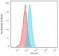 Flow cytometry testing of human Raji cells with HLA-A antibody (clone 108-2C5); Red=isotype control, Blue= HLA-A antibody.
