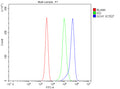 Flow Cytometry analysis of Jurkat cells using anti-GCH1 antibody. Overlay histogram showing Jurkat cells stained with (Blue line). To facilitate intracellular staining, cells were fixed with 4% paraformaldehyde and permeabilized with permeabilization buffer. The cells were blocked with 10% normal goat serum. And then incubated with rabbit anti-GCH1 antibody (1 ug/million cells) for 30 min at 20oC.