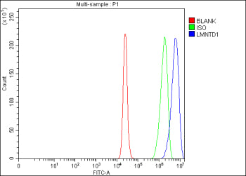 Flow Cytometry analysis of RT4 cells using anti-LMNTD1 antibody. Overlay histogram showing RT4 cells stained with (Blue line). To facilitate intracellular staining, cells were fixed with 4% paraformaldehyde and permeabilized with permeabilization buffer. The cells were blocked with 10% normal goat serum. And then incubated with rabbit anti-LMNTD1 antibody (1 ug/million cells) for 30 min at 20oC.