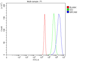 Flow Cytometry analysis of Neuro2a cells using anti-NRCAM antibody. Overlay histogram showing Neuro2a cells stained with (Blue line). The cells were fixed with 4% paraformaldehyde and blocked with 10% normal goat serum. And then incubated with rabbit anti-NRCAM antibody (1 ug/million cells) for 30 min at 20oC. DyLight 488 conjugated goat anti-rabbit IgG (5-10 ug/million cells) was used as secondary antibody for 30 min at 20oC.