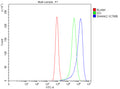 Flow Cytometry analysis of Caco-2 cells using anti-SHANK2 antibody. Overlay histogram showing Caco-2 cells stained with (Blue line). To facilitate intracellular staining, cells were fixed with 4% paraformaldehyde and permeabilized with permeabilization buffer. The cells were blocked with 10% normal goat serum. And then incubated with rabbit anti-SHANK2 antibody (1 ug/million cells) for 30 min at 20oC.