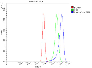 Flow Cytometry analysis of Caco-2 cells using anti-SHANK2 antibody. Overlay histogram showing Caco-2 cells stained with (Blue line). To facilitate intracellular staining, cells were fixed with 4% paraformaldehyde and permeabilized with permeabilization buffer. The cells were blocked with 10% normal goat serum. And then incubated with rabbit anti-SHANK2 antibody (1 ug/million cells) for 30 min at 20oC.