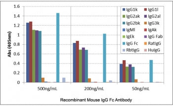 ELISA of mouse immunoglobulins shows the recombinant Mouse IgG Fc antibody reacts to the Fc region of IgG1, IgG2a, and IgG2b, and very slightly to IgG3; no cross reactivity with IgM, IgA, IgE, human/rat/rabbit IgG.