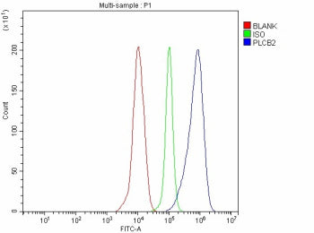 Flow Cytometry analysis of THP-1 cells using anti-PLCB2 antibody. Overlay histogram showing THP-1 cells stained with (Blue line). To facilitate intracellular staining, cells were fixed with 4% paraformaldehyde and permeabilized with permeabilization buffer. The cells were blocked with 10% normal goat serum. And then incubated with rabbit anti-PLCB2 antibody (1 ug/million cells) for 30 min at 20oC.