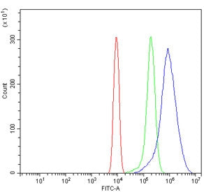 Flow cytometry testing of mouse ANA-1 cells with Hjurp antibody at 1ug/million cells (blocked with goat sera); Red=cells alone, Green=isotype control, Blue= Hjurp antibody.