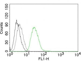 Flow analysis of permeablized PC3 cells using ODC-1 antibody (clone ODC1/485, green), isotype control (gray) and no primary antibody (black).
