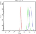 Flow cytometry testing of fixed and permeabilized human HepG2 cells with PIK3R4 antibody at 1ug/million cells (blocked with goat sera); Red=cells alone, Green=isotype control, Blue= PIK3R4 antibody.