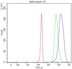 Flow cytometry testing of fixed and permeabilized human HepG2 cells with PIK3R4 antibody at 1ug/million cells (blocked with goat sera); Red=cells alone, Green=isotype control, Blue= PIK3R4 antibody.