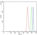 Flow cytometry testing of human RT4 cells with TMEM52B antibody at 1ug/million cells (blocked with goat sera); Red=cells alone, Green=isotype control, Blue= TMEM52B antibody.