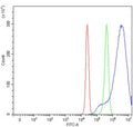 Flow cytometry testing of human HepG2 cells with MIPOL1 antibody at 1ug/million cells (blocked with goat sera); Red=cells alone, Green=isotype control, Blue= MIPOL1 antibody.