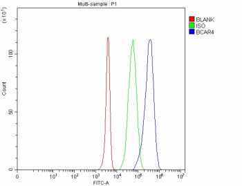 Flow Cytometry analysis of 293T cells using anti-BCAR4 antibody. Overlay histogram showing 293T cells stained with (Blue line). The cells were fixed with 4% paraformaldehyde and blocked with 10% normal goat serum. And then incubated with rabbit anti-BCAR4 antibody (1 ug/million cells) for 30 min at 20oC. DyLight 488 conjugated goat anti-rabbit IgG (5-10 ug/million cells) was used as secondary antibody for 30 min at 20oC.