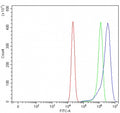 Flow cytometry testing of human RT4 cells with TMEM59 antibody at 1ug/million cells (blocked with goat sera); Red=cells alone, Green=isotype control, Blue= TMEM59 antibody.