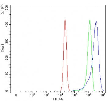 Flow cytometry testing of human RT4 cells with TMEM59 antibody at 1ug/million cells (blocked with goat sera); Red=cells alone, Green=isotype control, Blue= TMEM59 antibody.