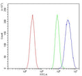 Flow cytometry testing of mouse HEPA1-6 cells with Irf3 antibody at 1ug/million cells (blocked with goat sera); Red=cells alone, Green=isotype control, Blue= Irf3 antibody.