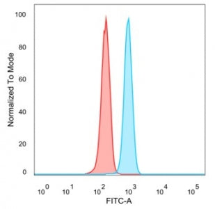Flow cytometry testing of PFA-fixed human HeLa cells with Forkhead Box I1 antibody (clone PCRP-FOXI1-1C4) followed by goat anti-mouse IgG-CF488 (blue), Red = unstained cells.
