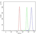 Flow cytometry testing of human U937 cells with Apoptotic protease-activating factor 1 antibody at 1ug/million cells (blocked with goat sera); Red=cells alone, Green=isotype control, Blue= Apoptotic protease-activating factor 1 antibody.