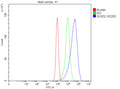 Flow Cytometry analysis of Caco-2 cells using anti-SUSD2 antibody. Overlay histogram showing Caco-2 cells stained with (Blue line). The cells were fixed with 4% paraformaldehyde and blocked with 10% normal goat serum. And then incubated with rabbit anti-SUSD2 antibody (1 ug/million cells) for 30 min at 20oC. DyLight 488 conjugated goat anti-rabbit IgG (5-10 ug/million cells) was used as secondary antibody for 30 min at 20oC.
