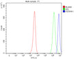 Flow Cytometry analysis of JK cells using anti-PSTPIP1 antibody. Overlay histogram showing JK cells stained with (Blue line). To facilitate intracellular staining, cells were fixed with 4% paraformaldehyde and permeabilized with permeabilization buffer. The cells were blocked with 10% normal goat serum. And then incubated with rabbit anti-PSTPIP1 antibody (1 ug/million cells) for 30 min at 20oC.