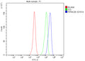 Flow Cytometry analysis of HeLa cells using anti-PIP4K2B antibody. Overlay histogram showing HeLa cells stained with (Blue line). To facilitate intracellular staining, cells were fixed with 4% paraformaldehyde and permeabilized with permeabilization buffer. The cells were blocked with 10% normal goat serum. And then incubated with rabbit anti-PIP4K2B antibody (1 ug/million cells) for 30 min at 20oC.