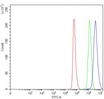 Flow cytometry testing of fixed and permeabilized human HeLa cells with MUTYH antibody at 1ug/million cells (blocked with goat sera); Red=cells alone, Green=isotype control, Blue= MUTYH antibody.