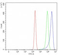 Flow cytometry testing of human RT4 cells with Paraoxonase 2 antibody at 1ug/million cells (blocked with goat sera); Red=cells alone, Green=isotype control, Blue= Paraoxonase 2 antibody.