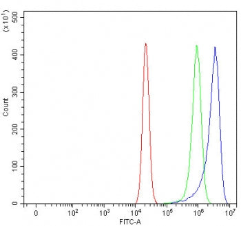 Flow cytometry testing of human RT4 cells with Paraoxonase 2 antibody at 1ug/million cells (blocked with goat sera); Red=cells alone, Green=isotype control, Blue= Paraoxonase 2 antibody.
