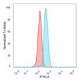 FACS staining of PFA-fixed human HeLa cells with ZHX3 antibody (blue, clone PCRP-ZHX3-1D11) and isotype control (red).