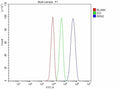 Flow Cytometry analysis of HepG2 cells using anti-RRN3 antibody. Overlay histogram showing HepG2 cells stained with (Blue line). To facilitate intracellular staining, cells were fixed with 4% paraformaldehyde and permeabilized with permeabilization buffer. The cells were blocked with 10% normal goat serum. And then incubated with rabbit anti-RRN3 antibody (1 ug/million cells) for 30 min at 20oC.