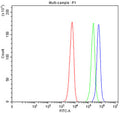 Flow cytometry testing of fixed and permeabilized human SiHa cells with MIB2 antibody at 1ug/million cells (blocked with goat sera); Red=cells alone, Green=isotype control, Blue= MIB2 antibody.