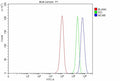 Flow Cytometry analysis of MCF-7 cells using anti-MCM9 antibody. Overlay histogram showing MCF-7 cells stained with (Blue line). To facilitate intracellular staining, cells were fixed with 4% paraformaldehyde and permeabilized with permeabilization buffer. The cells were blocked with 10% normal goat serum. And then incubated with rabbit anti-MCM9 antibody (1 ug/million cells) for 30 min at 20oC.
