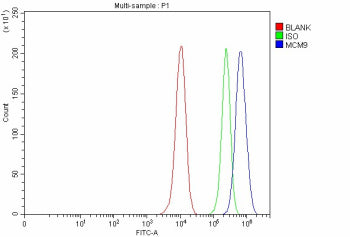 Flow Cytometry analysis of MCF-7 cells using anti-MCM9 antibody. Overlay histogram showing MCF-7 cells stained with (Blue line). To facilitate intracellular staining, cells were fixed with 4% paraformaldehyde and permeabilized with permeabilization buffer. The cells were blocked with 10% normal goat serum. And then incubated with rabbit anti-MCM9 antibody (1 ug/million cells) for 30 min at 20oC.