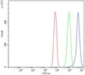 Flow cytometry testing of rat RH35 cells with Timp1 antibody at 1ug/million cells (blocked with goat sera); Red=cells alone, Green=isotype control, Blue= Timp1 antibody.