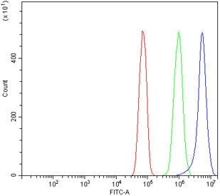 Flow cytometry testing of rat RH35 cells with Timp1 antibody at 1ug/million cells (blocked with goat sera); Red=cells alone, Green=isotype control, Blue= Timp1 antibody.