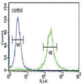 Flow cytometry testing of human HEK293 cells with Inhibin alpha antibody; Blue=isotype control, Green= Inhibin alpha antibody.